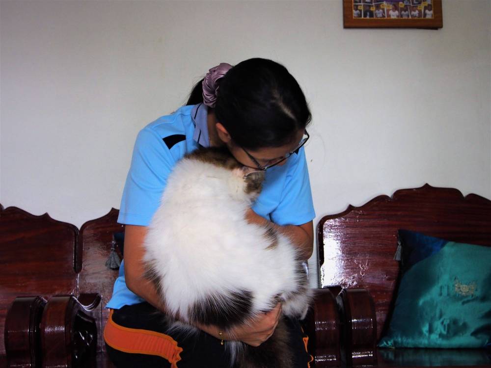 OLYMPUS DIGITAL CAMERA