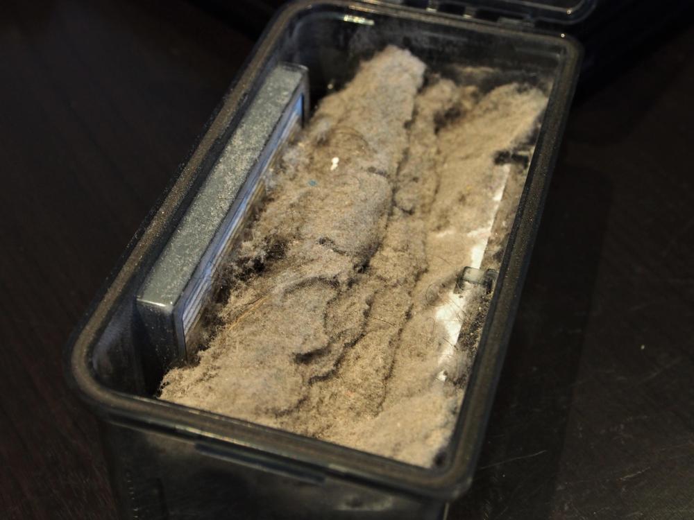 OLYMPUS DIGITAL CAMERA