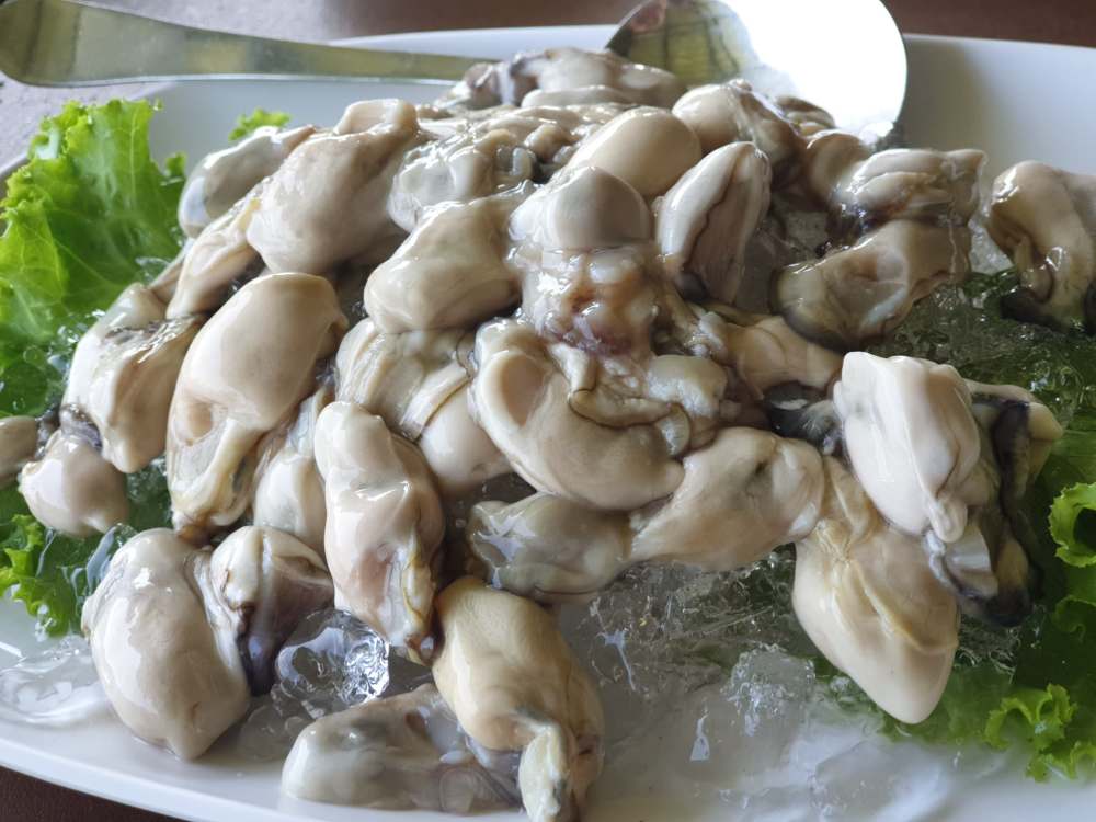 71404421_568051333933320_4075900977239031808_n