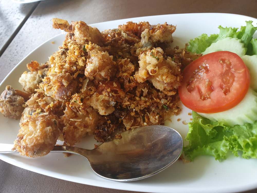 72236904_428117101167866_6036363495560183808_n